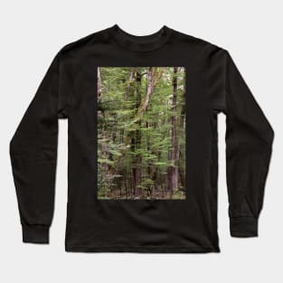 Birch Forest Long Sleeve T-Shirt